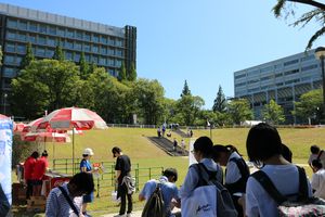 20170803-34.jpg