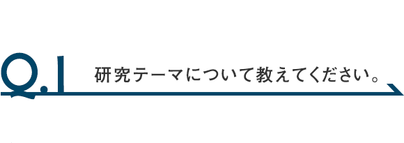 Q.1 研究テーマについて教えてください。