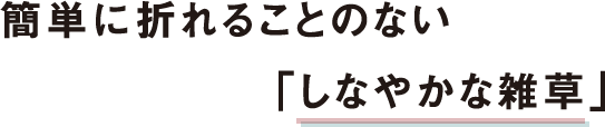 簡単に折れることのない「しなやかな雑草」