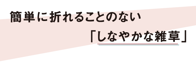 簡単に折れることのない「しなやかな雑草」