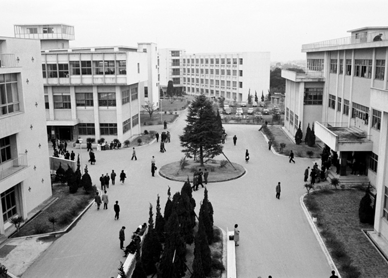 キャンパス風景（1966年）