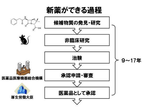 〔研究者コラム〕―「治験と臨床研究（第1回）」臨床研究から生まれるトクホと医薬品―