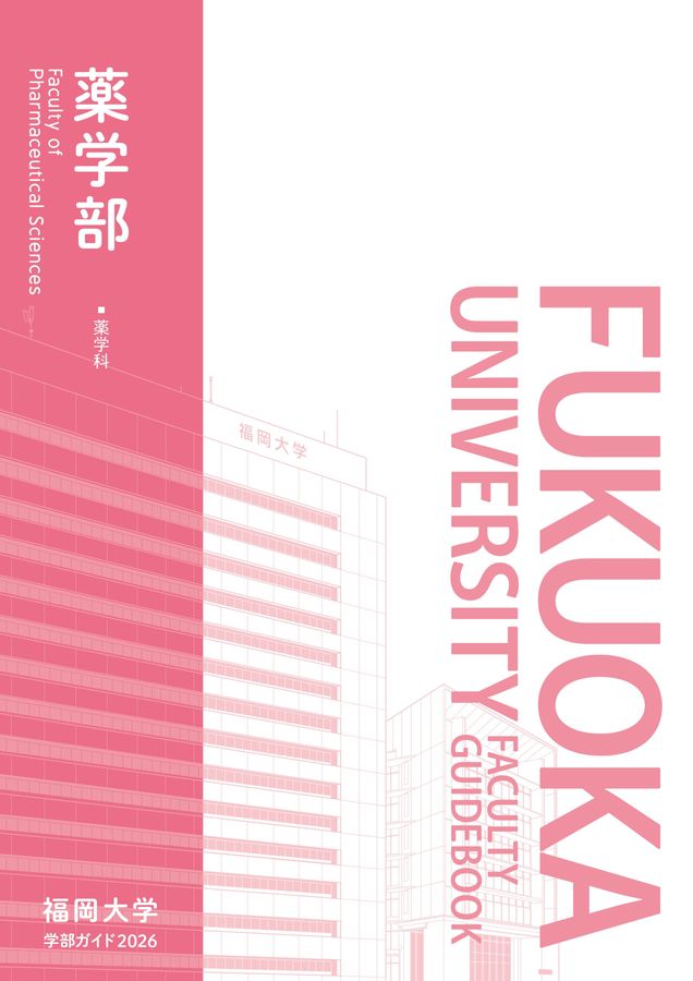 福岡大学　人文学部法学部経済学部工学部薬学部　10年分 赤本 福岡大学 人文学部 法学部 経済学部 2004年～2023年 19年分