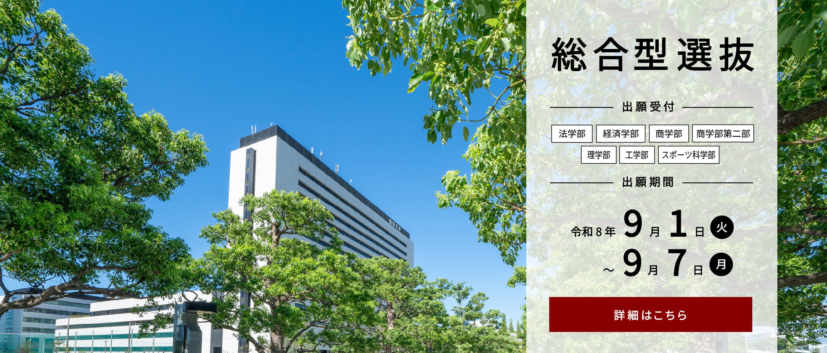 総合型選抜