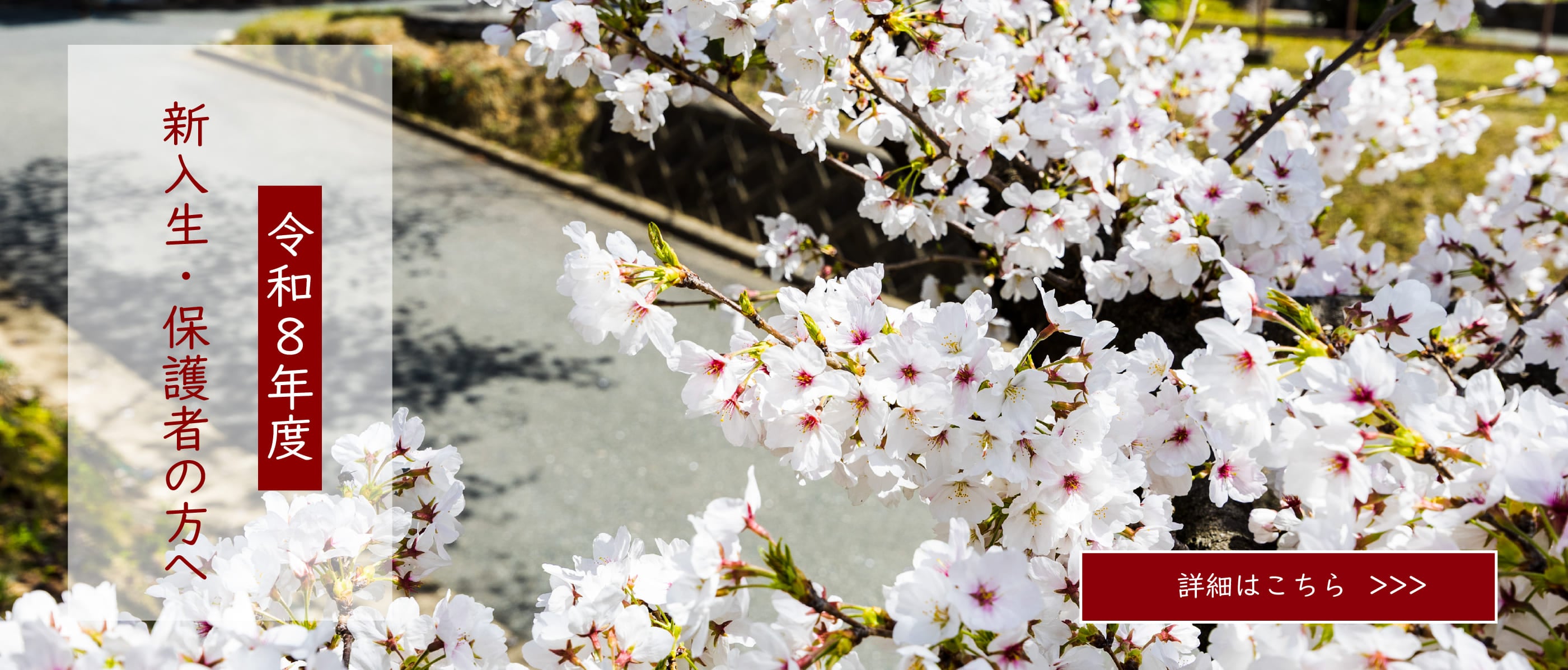 新入生・保護者の皆様へ　福岡大学