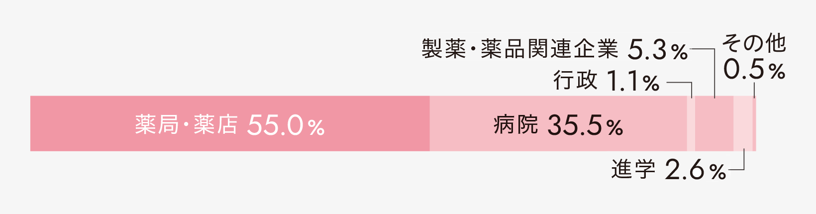 薬局・薬店55.0% 病院35.5% 行政1.1% 製薬・薬品関連企業5.3% 進学2.6% その他0.5%
