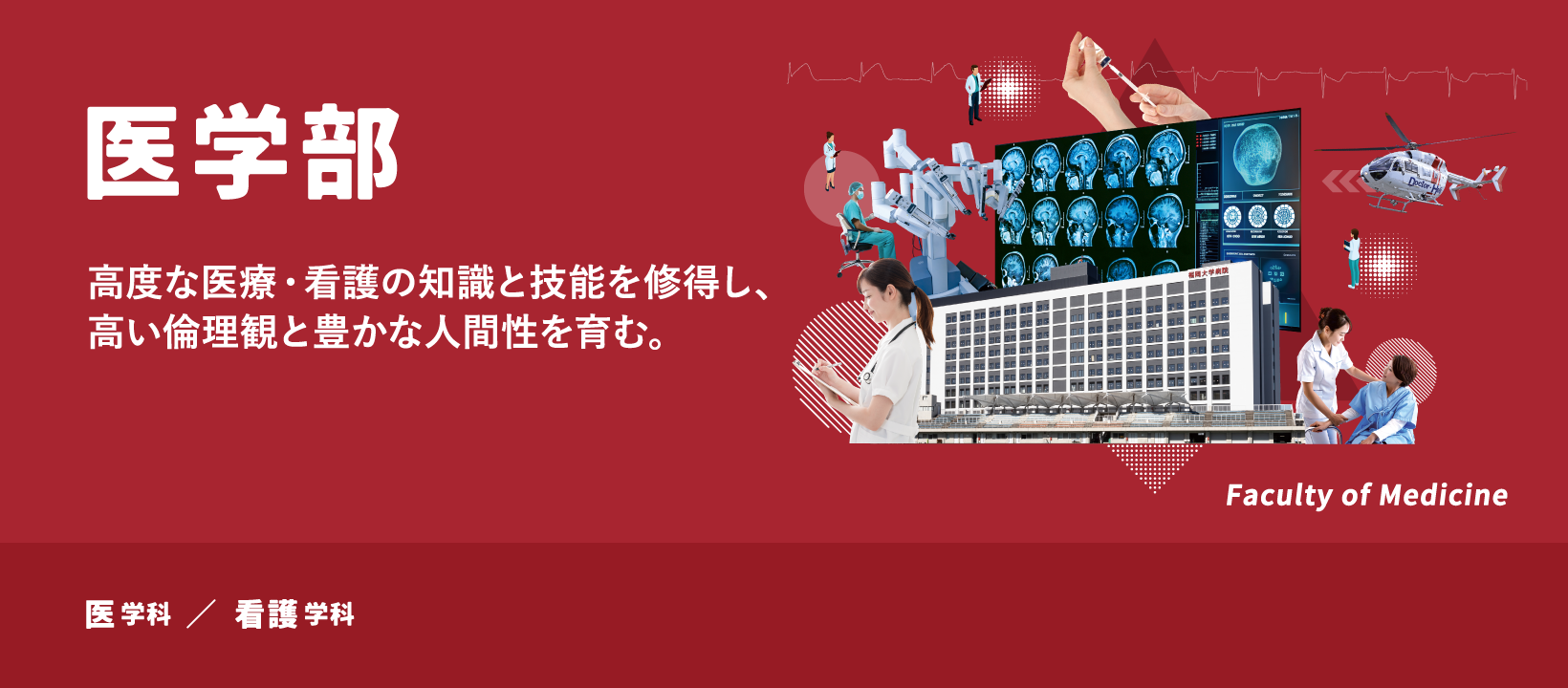 医学部