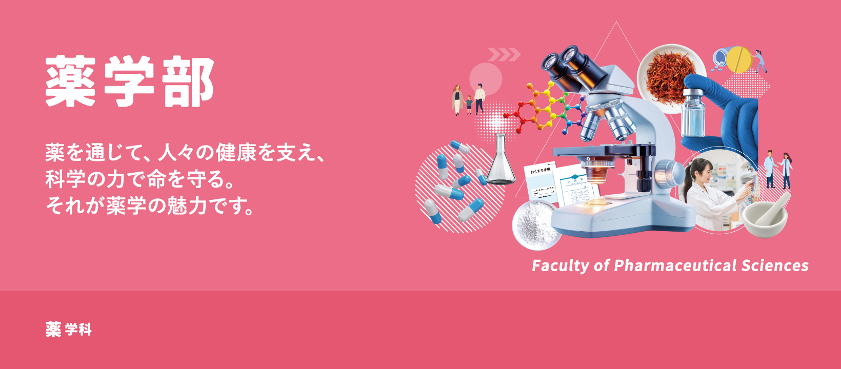 薬学部