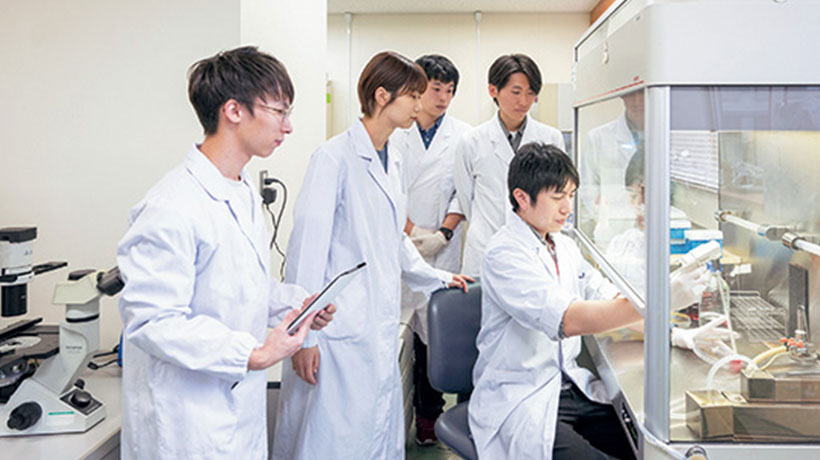 Pharmaceutical sciences phd thesis