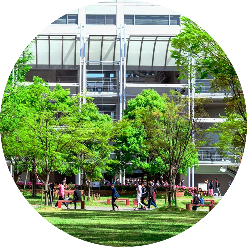 緑豊かな福岡大学構内