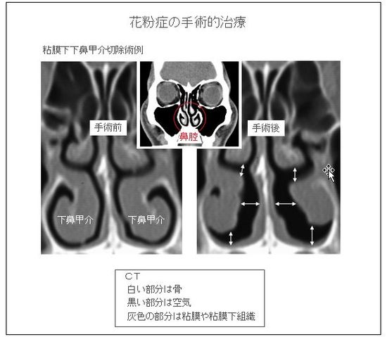 20140402-6.jpg