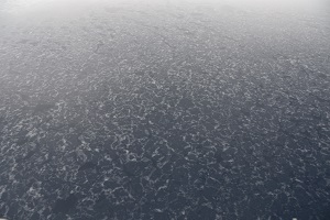 20170309_薄氷で埋まるポリニア海面.jpg